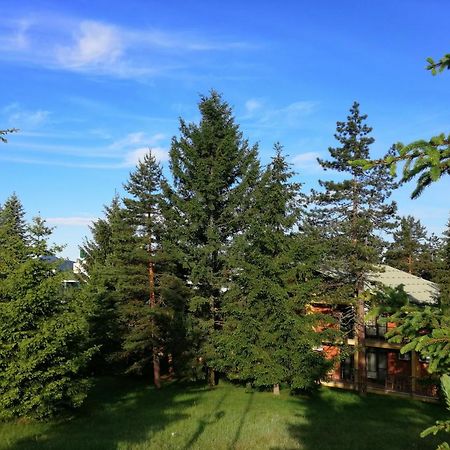 Hotel President Garni Zlatibor Exteriör bild